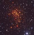 image of Westerlund 1