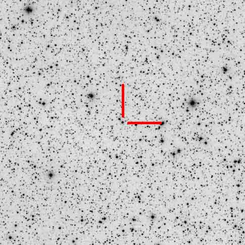 image of the star