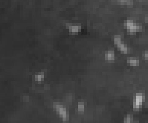 full res subsection of the big image