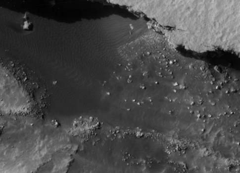 full res subsection of the big image