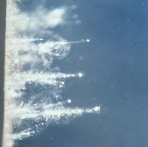 image of dust tracks in aerogel