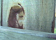worst image of Jesus in wood ever