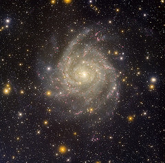 Picture of the spiral galaxy IC342