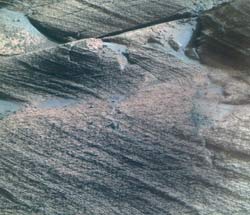 Opportunity image of a patch of Mars where very salty water once was
