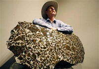 Picture of meteorite on auction