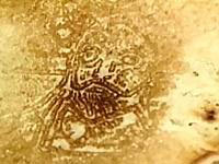 Jesus in a pancake, or Dali?