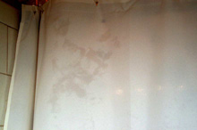 Face in the Shower Curtain